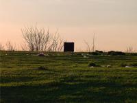 Imagine atasata: cos.jpg